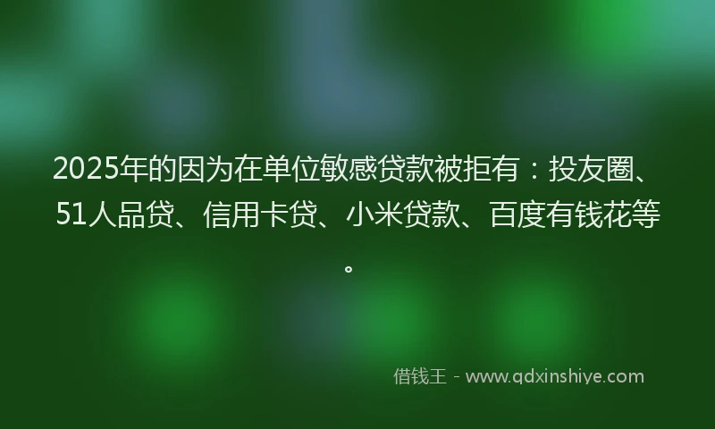 2025年的因为在单位敏感贷款被拒有：投友圈、51人品贷、信用卡贷、小米贷款、百度有钱花等。
