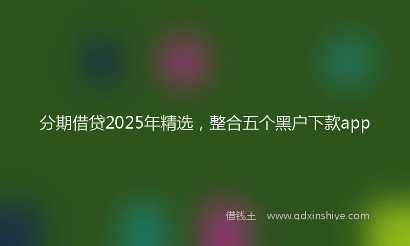 分期借贷2025年精选，整合五个黑户下款app