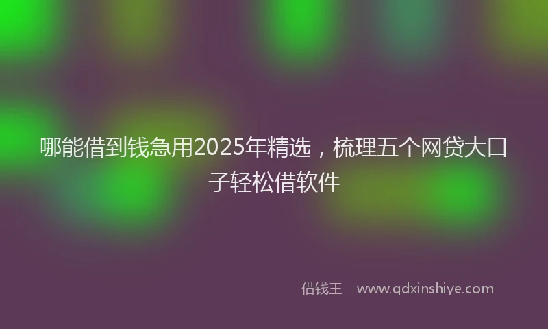 哪能借到钱急用2025年精选，梳理五个网贷大口子轻松借软件