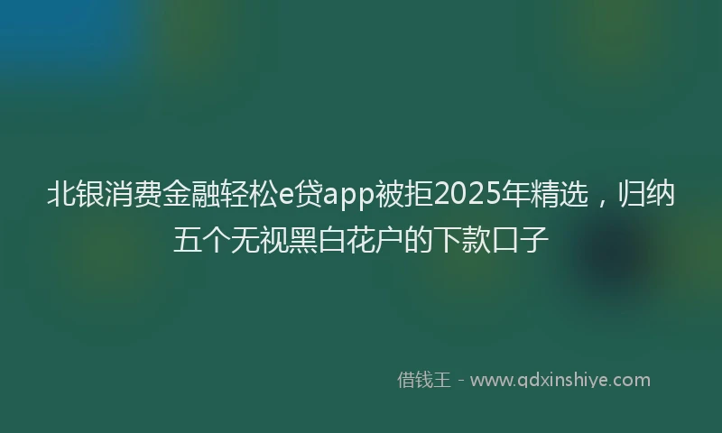 北银消费金融轻松e贷app被拒2025年精选，归纳五个无视黑白花户的下款口子