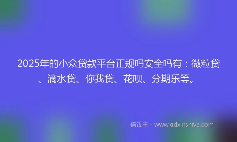 2025年的小众贷款平台正规吗安全吗有：微粒贷、滴水贷、你我贷、花呗、分期乐等。