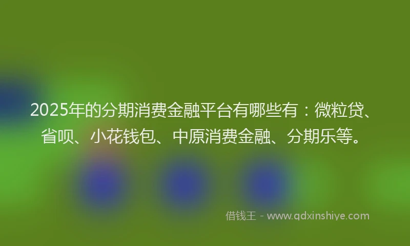 2025年的分期消费金融平台有哪些有：微粒贷、省呗、小花钱包、中原消费金融、分期乐等。