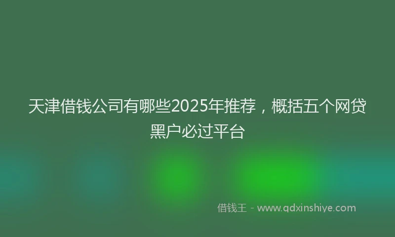 天津借钱公司有哪些2025年推荐，概括五个网贷黑户必过平台