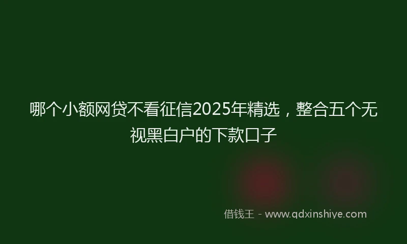 哪个小额网贷不看征信2025年精选，整合五个无视黑白户的下款口子