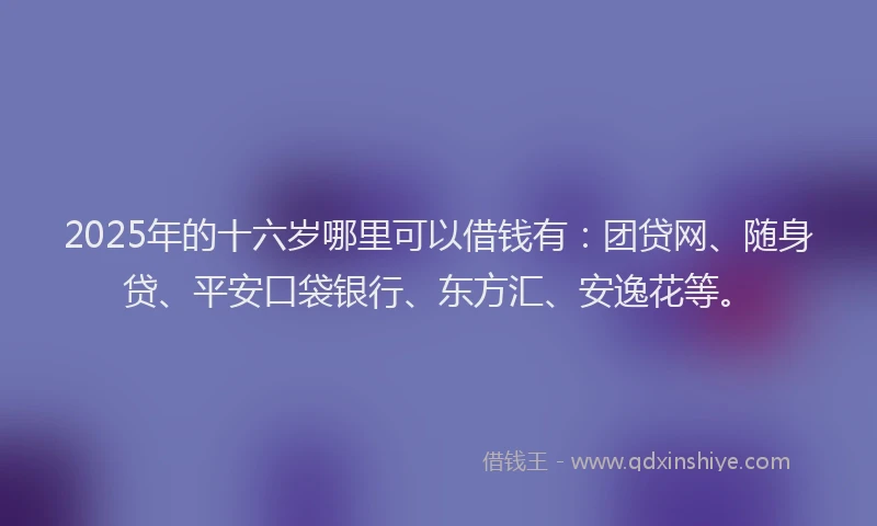 2025年的十六岁哪里可以借钱有：团贷网、随身贷、平安口袋银行、东方汇、安逸花等。