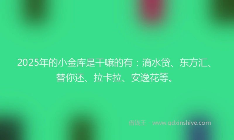 2025年的小金库是干嘛的有：滴水贷、东方汇、替你还、拉卡拉、安逸花等。