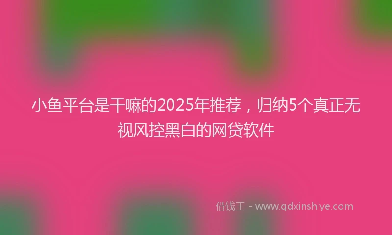 小鱼平台是干嘛的2025年推荐，归纳5个真正无视风控黑白的网贷软件