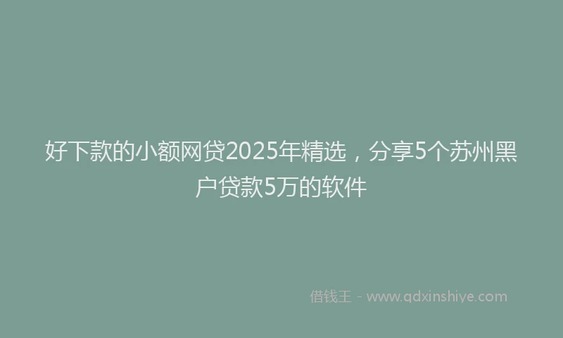 好下款的小额网贷2025年精选，分享5个苏州黑户贷款5万的软件
