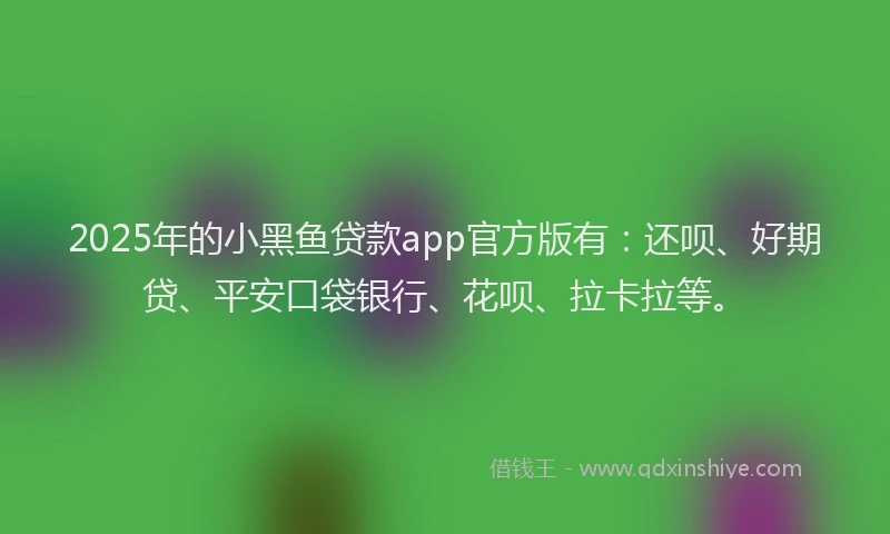 2025年的小黑鱼贷款app官方版有：还呗、好期贷、平安口袋银行、花呗、拉卡拉等。