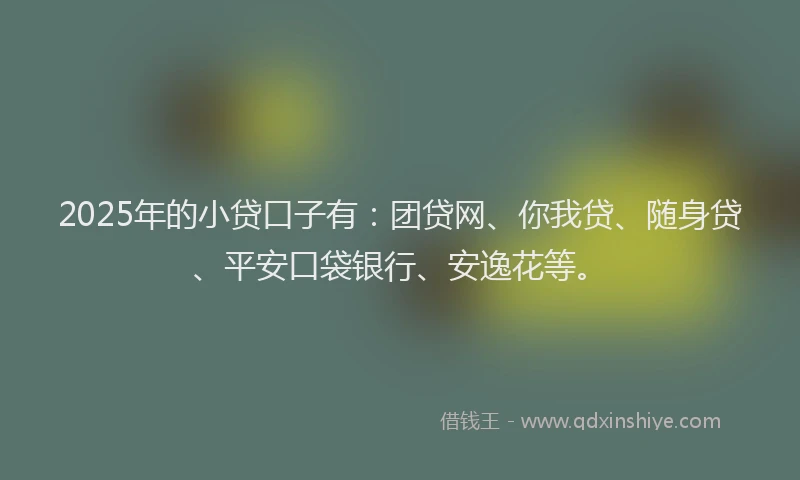 2025年的小贷口子有：团贷网、你我贷、随身贷、平安口袋银行、安逸花等。
