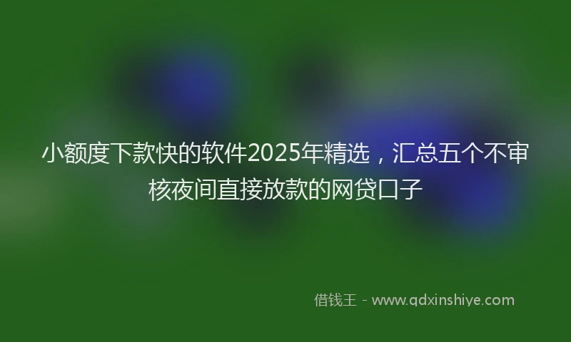 小额度下款快的软件2025年精选，汇总五个不审核夜间直接放款的网贷口子