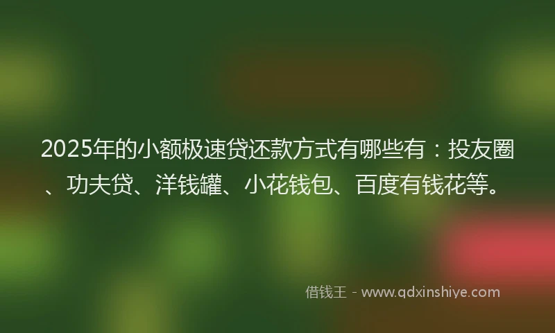 2025年的小额极速贷还款方式有哪些有：投友圈、功夫贷、洋钱罐、小花钱包、百度有钱花等。