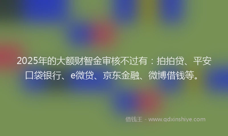2025年的大额财智金审核不过有：拍拍贷、平安口袋银行、e微贷、京东金融、微博借钱等。