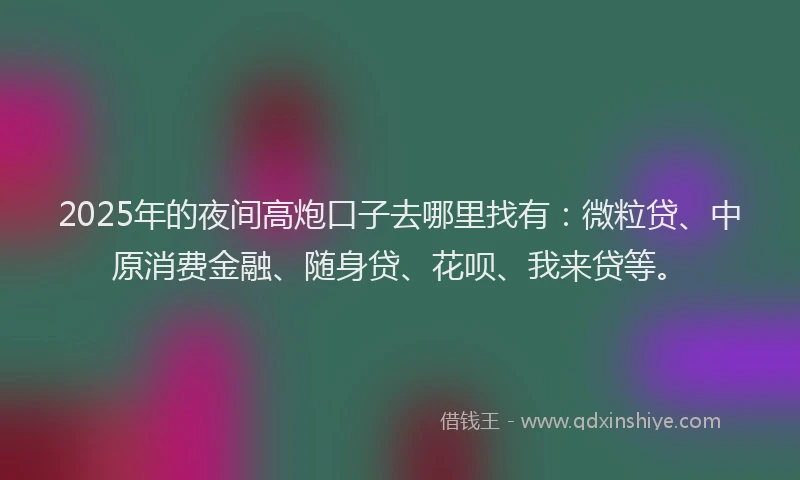 2025年的夜间高炮口子去哪里找有：微粒贷、中原消费金融、随身贷、花呗、我来贷等。
