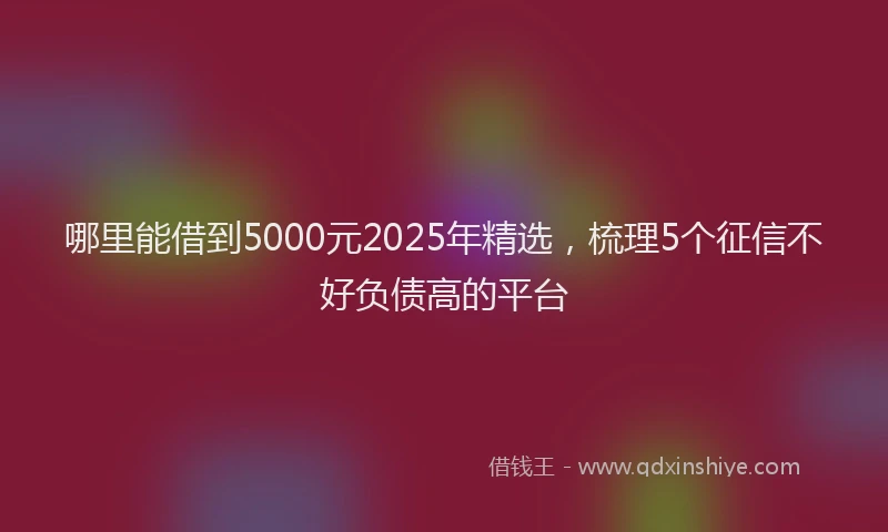 哪里能借到5000元2025年精选，梳理5个征信不好负债高的平台