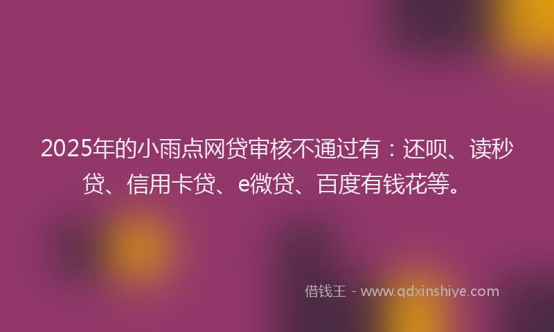 2025年的小雨点网贷审核不通过有：还呗、读秒贷、信用卡贷、e微贷、百度有钱花等。