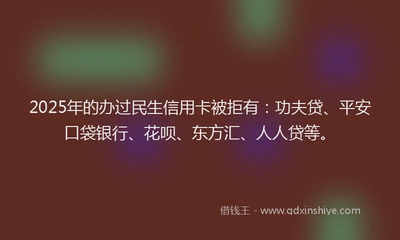 2025年的办过民生信用卡被拒有：功夫贷、平安口袋银行、花呗、东方汇、人人贷等。