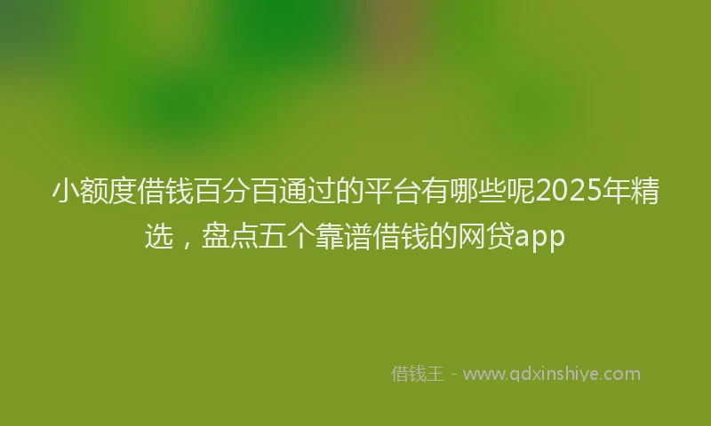 小额度借钱百分百通过的平台有哪些呢2025年精选，盘点五个靠谱借钱的网贷app