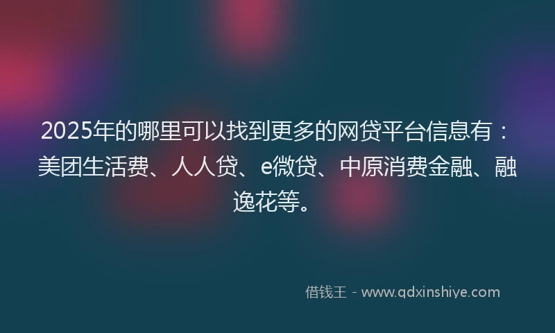2025年的哪里可以找到更多的网贷平台信息有：美团生活费、人人贷、e微贷、中原消费金融、融逸花等。