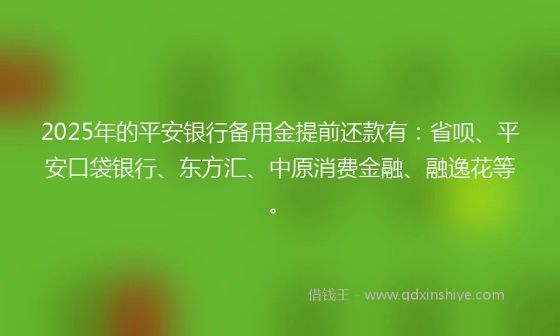 2025年的平安银行备用金提前还款有：省呗、平安口袋银行、东方汇、中原消费金融、融逸花等。
