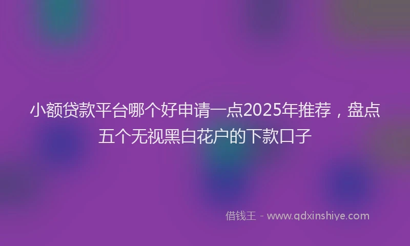 小额贷款平台哪个好申请一点2025年推荐，盘点五个无视黑白花户的下款口子
