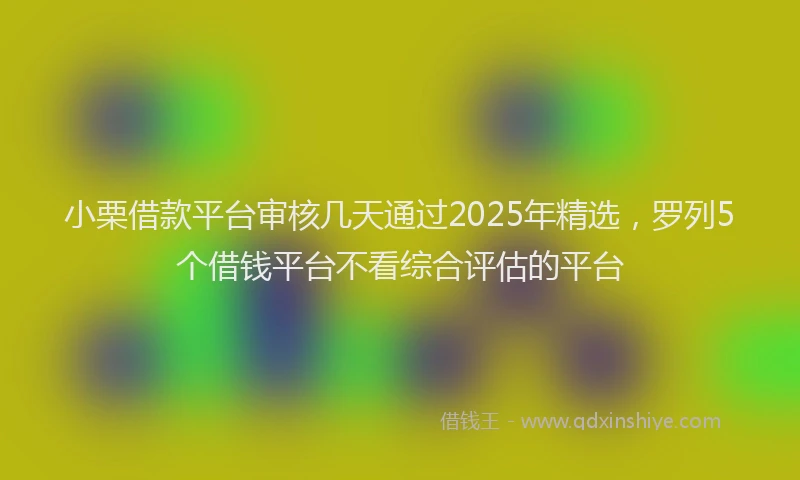 小栗借款平台审核几天通过2025年精选，罗列5个借钱平台不看综合评估的平台