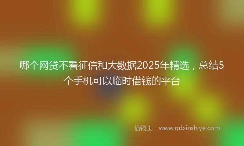 哪个网贷不看征信和大数据2025年精选，总结5个手机可以临时借钱的平台