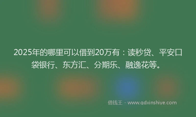 2025年的哪里可以借到20万有：读秒贷、平安口袋银行、东方汇、分期乐、融逸花等。