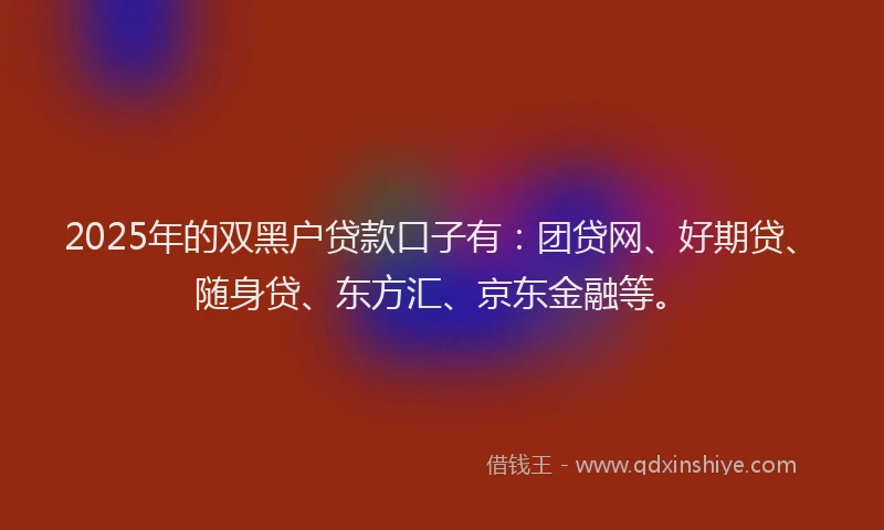 2025年的双黑户贷款口子有：团贷网、好期贷、随身贷、东方汇、京东金融等。
