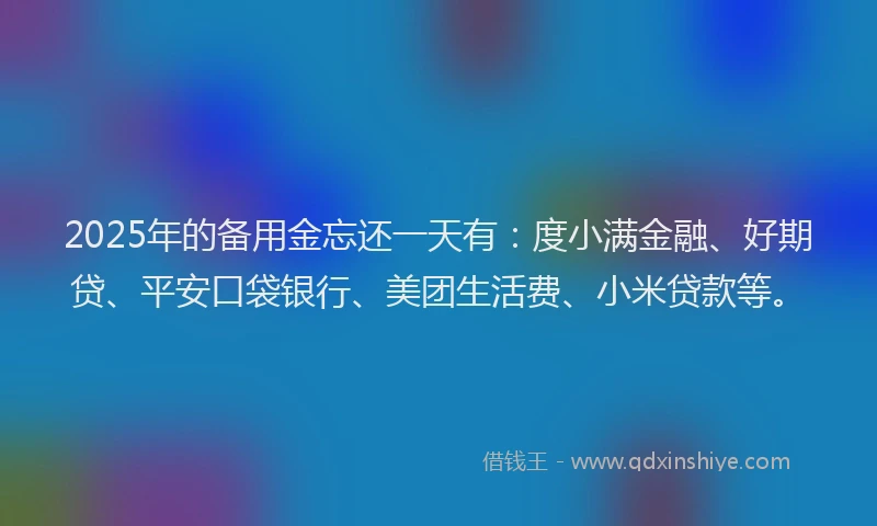 2025年的备用金忘还一天有：度小满金融、好期贷、平安口袋银行、美团生活费、小米贷款等。