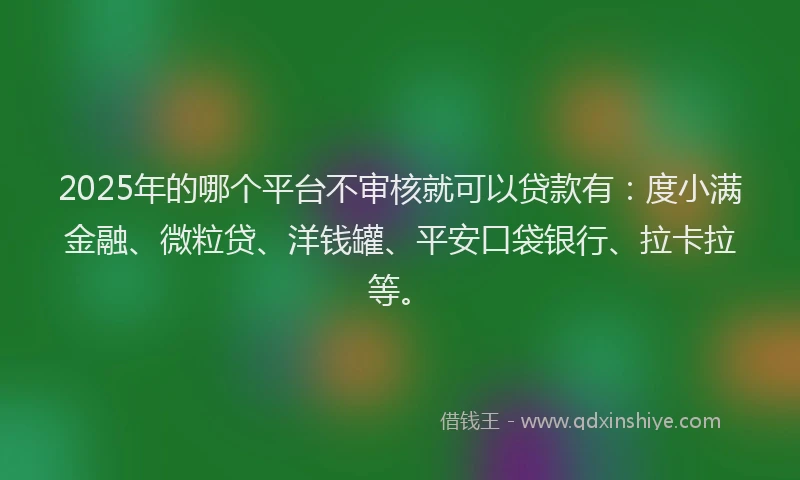 2025年的哪个平台不审核就可以贷款有：度小满金融、微粒贷、洋钱罐、平安口袋银行、拉卡拉等。