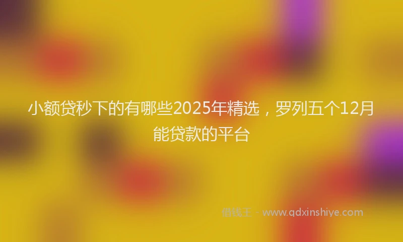 小额贷秒下的有哪些2025年精选，罗列五个12月能贷款的平台