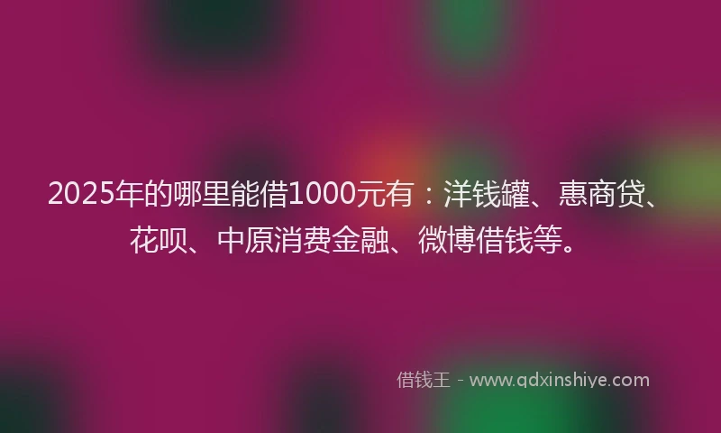 2025年的哪里能借1000元有：洋钱罐、惠商贷、花呗、中原消费金融、微博借钱等。