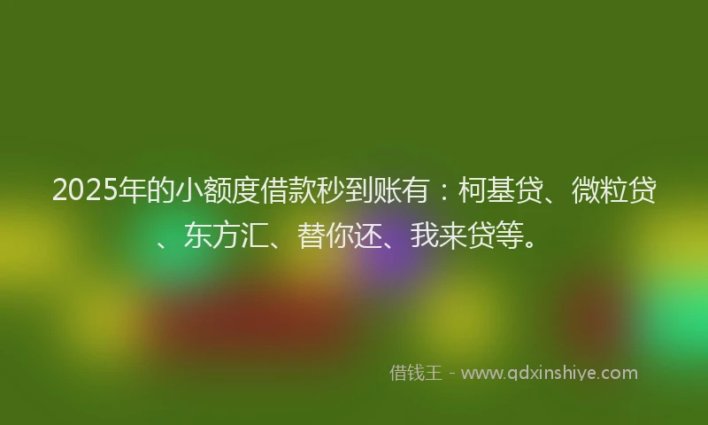 2025年的小额度借款秒到账有：柯基贷、微粒贷、东方汇、替你还、我来贷等。