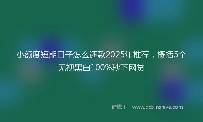 小额度短期口子怎么还款2025年推荐，概括5个无视黑白100%秒下网贷
