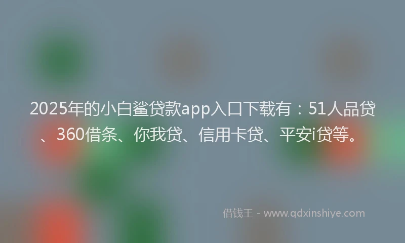 2025年的小白鲨贷款app入口下载有：51人品贷、360借条、你我贷、信用卡贷、平安i贷等。