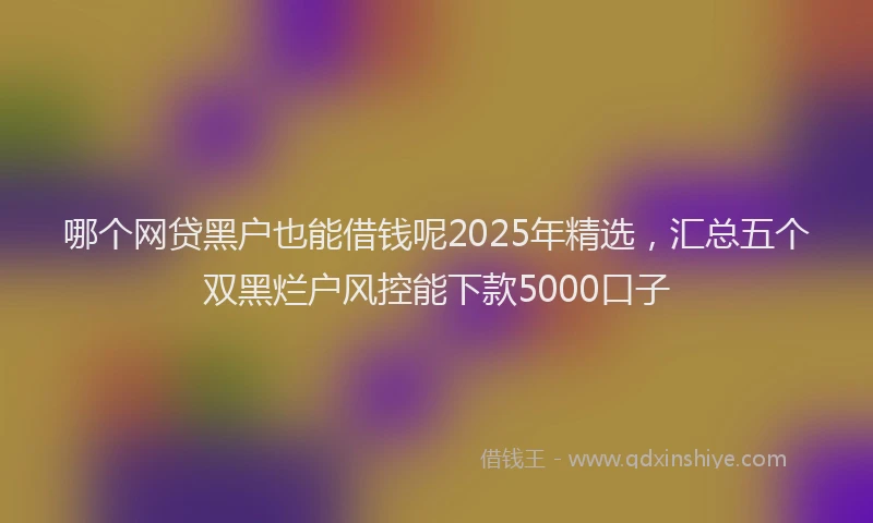 哪个网贷黑户也能借钱呢2025年精选，汇总五个双黑烂户风控能下款5000口子