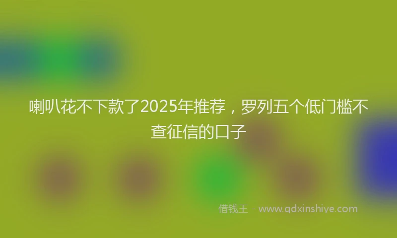 喇叭花不下款了2025年推荐，罗列五个低门槛不查征信的口子