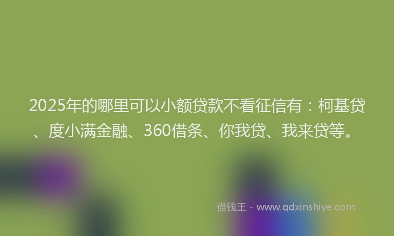 2025年的哪里可以小额贷款不看征信有：柯基贷、度小满金融、360借条、你我贷、我来贷等。