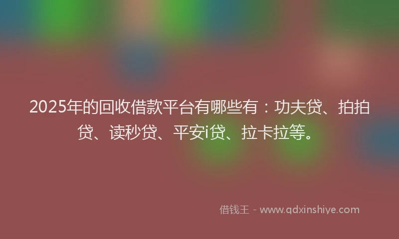2025年的回收借款平台有哪些有：功夫贷、拍拍贷、读秒贷、平安i贷、拉卡拉等。