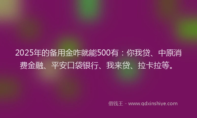 2025年的备用金咋就能500有：你我贷、中原消费金融、平安口袋银行、我来贷、拉卡拉等。