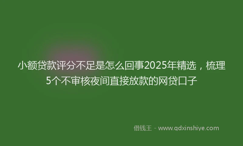 小额贷款评分不足是怎么回事2025年精选，梳理5个不审核夜间直接放款的网贷口子