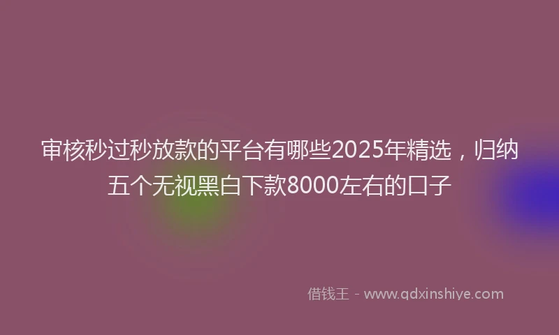 审核秒过秒放款的平台有哪些2025年精选，归纳五个无视黑白下款8000左右的口子