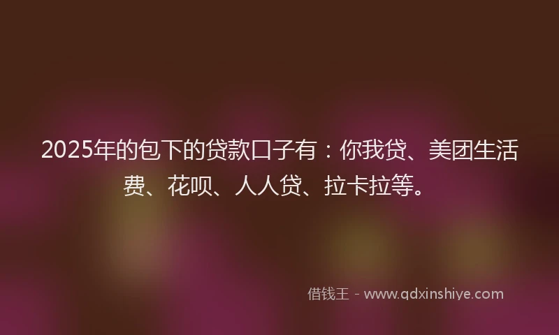 2025年的包下的贷款口子有：你我贷、美团生活费、花呗、人人贷、拉卡拉等。