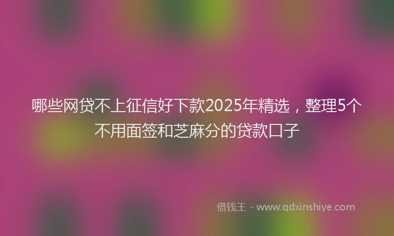 哪些网贷不上征信好下款2025年精选，整理5个不用面签和芝麻分的贷款口子