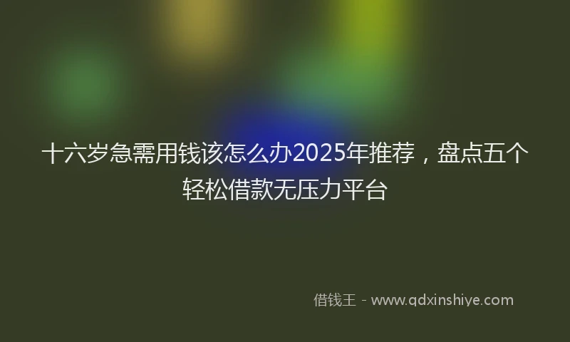 十六岁急需用钱该怎么办2025年推荐，盘点五个轻松借款无压力平台