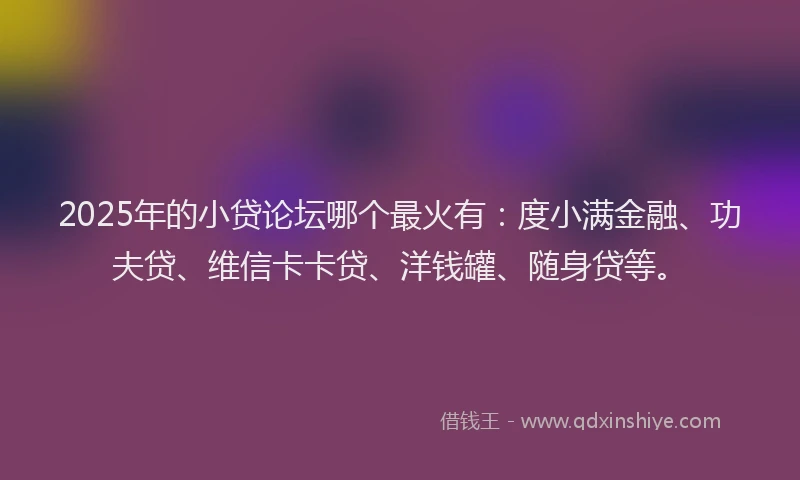 2025年的小贷论坛哪个最火有：度小满金融、功夫贷、维信卡卡贷、洋钱罐、随身贷等。