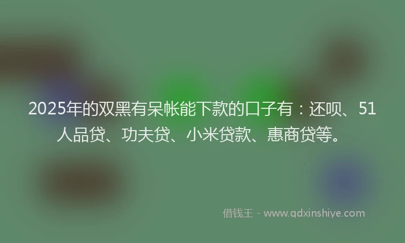 2025年的双黑有呆帐能下款的口子有：还呗、51人品贷、功夫贷、小米贷款、惠商贷等。