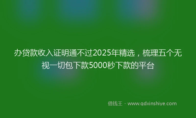 办贷款收入证明通不过2025年精选，梳理五个无视一切包下款5000秒下款的平台
