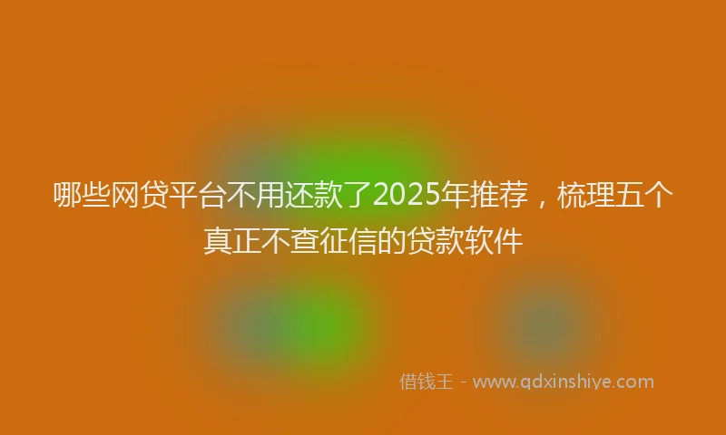 哪些网贷平台不用还款了2025年推荐，梳理五个真正不查征信的贷款软件